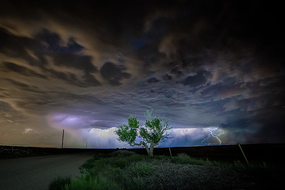 Lightning and Tree